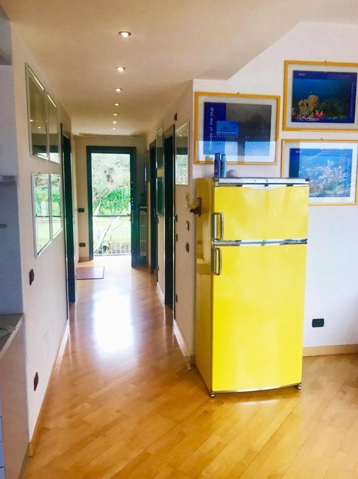 Residence "Delfino" Con Piscina E Campo Da Tennis 라팔로 외부 사진